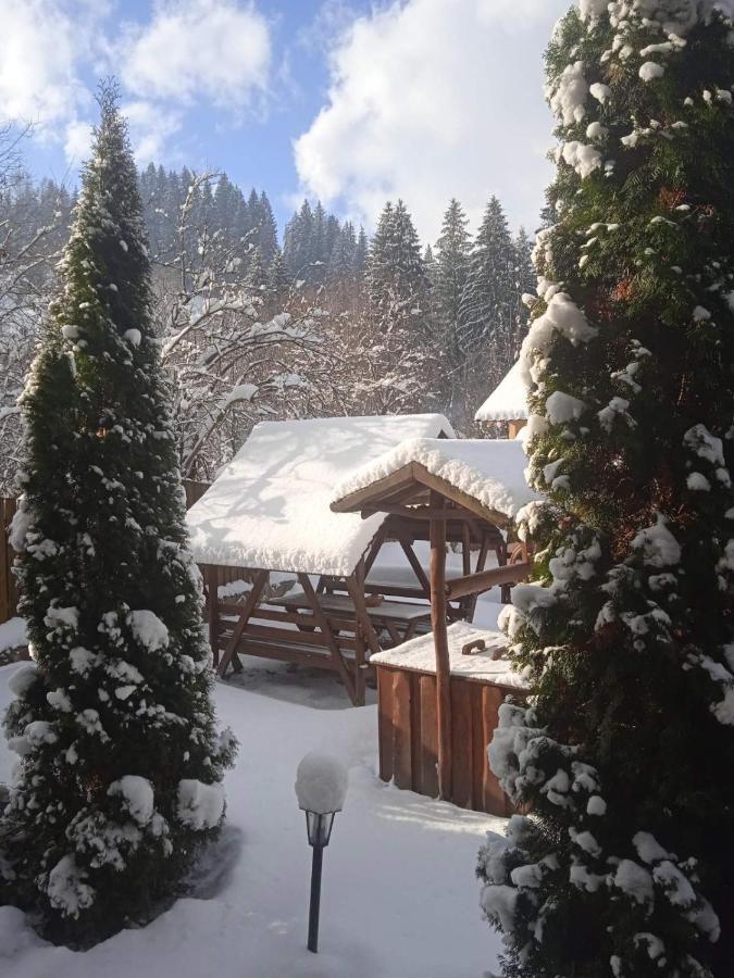 На Березі Черемошу Verkhovyna Exterior foto