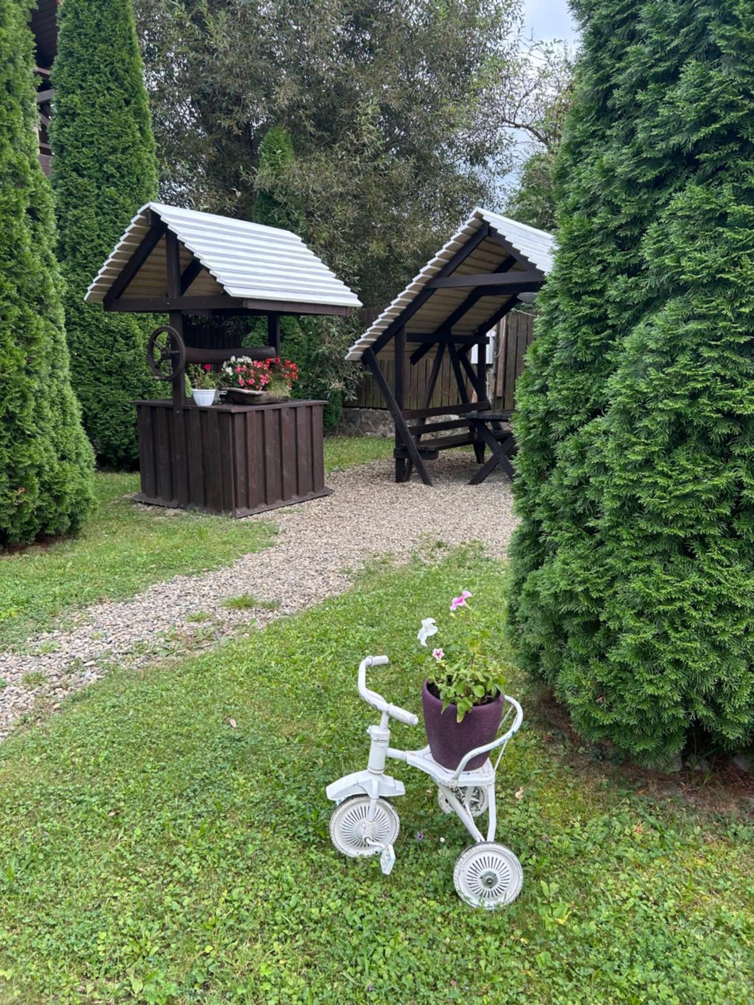 На Березі Черемошу Verkhovyna Exterior foto